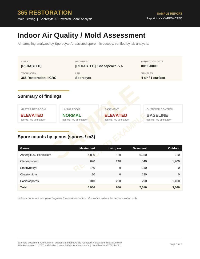 Sample Sporecyte lab report, page one