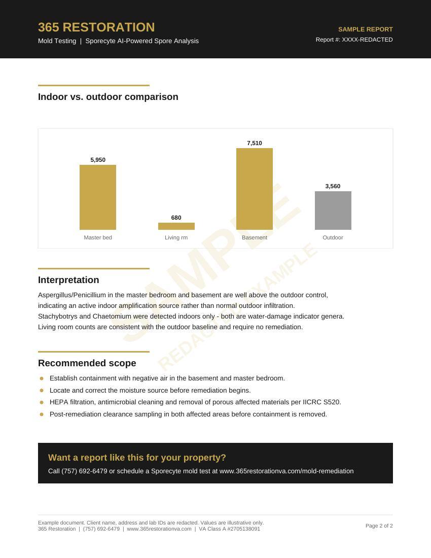 Sample Sporecyte lab report, page two